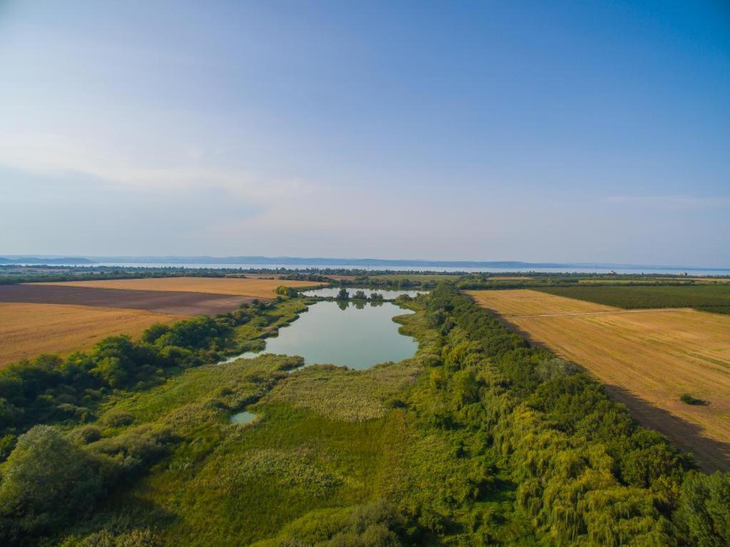 Töreki 34 Vendégház Siófok Kültér fotó