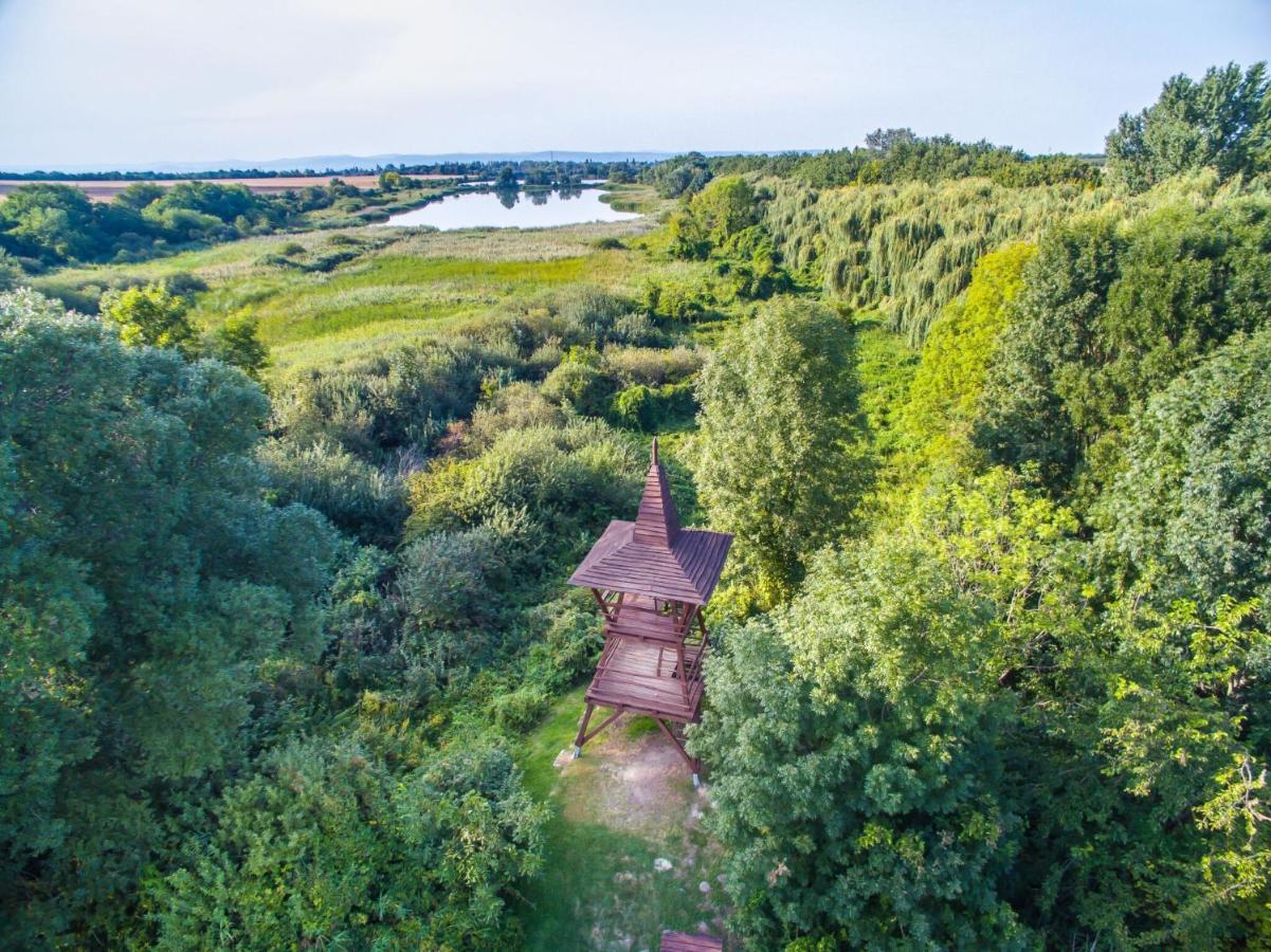 Töreki 34 Vendégház Siófok Kültér fotó
