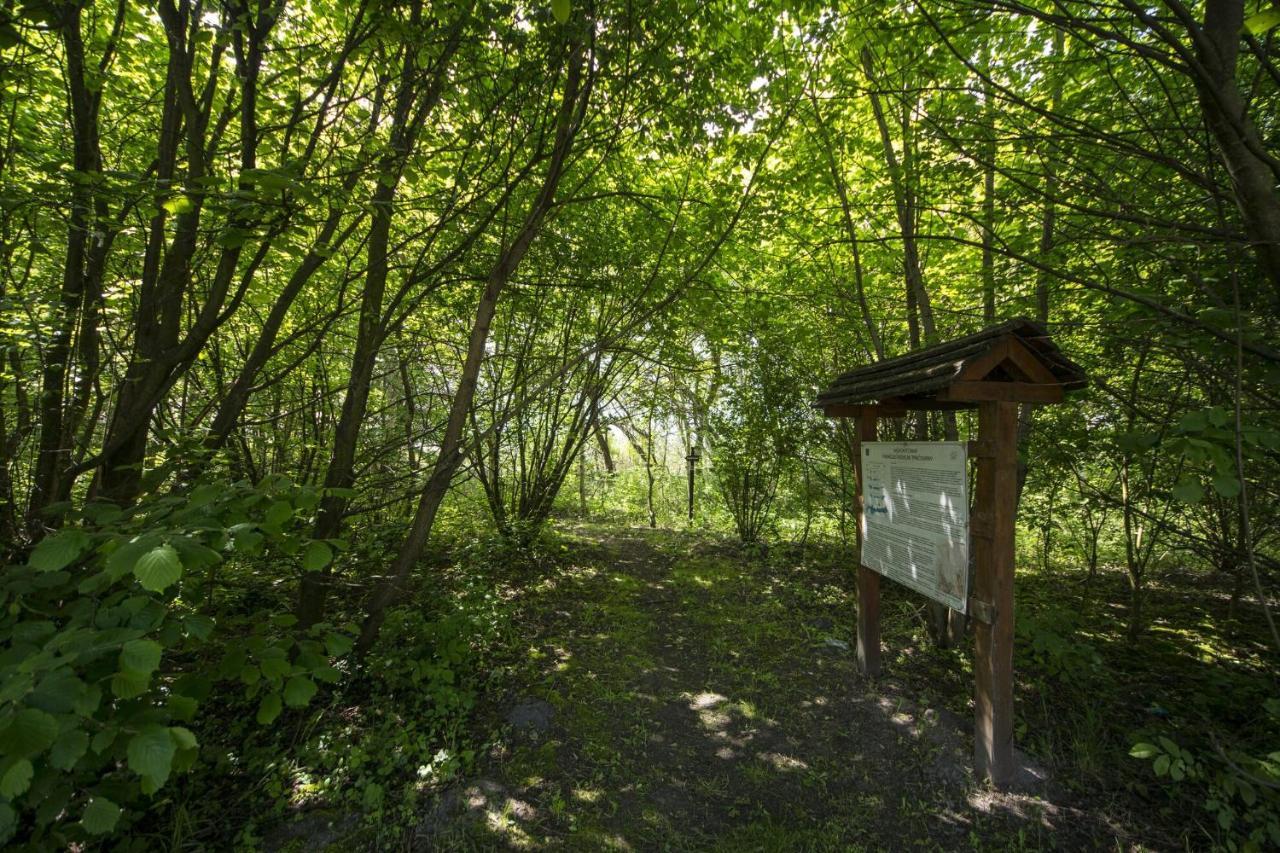 Töreki 34 Vendégház Siófok Kültér fotó